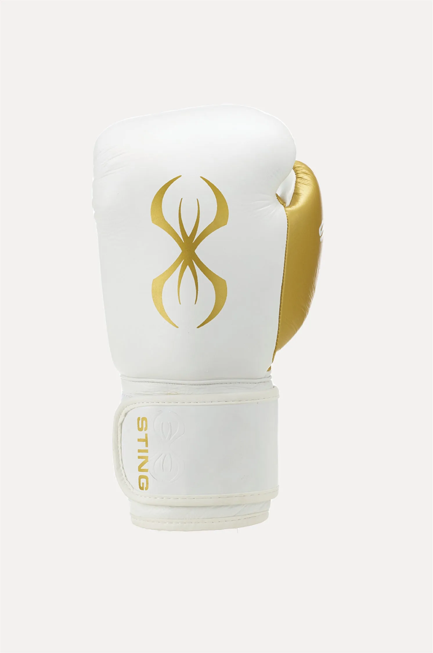 Evolution Boxing Gloves