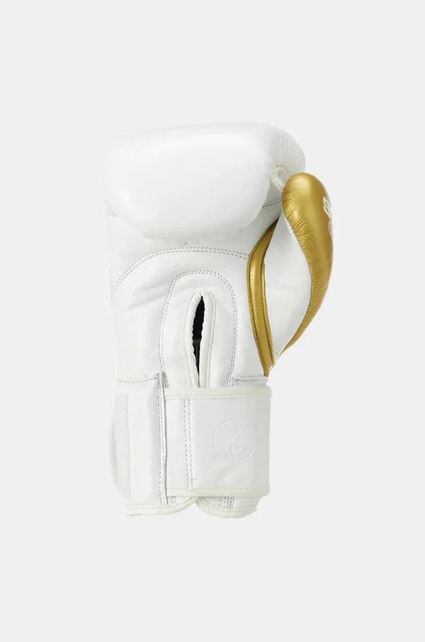 Evolution Boxing Gloves