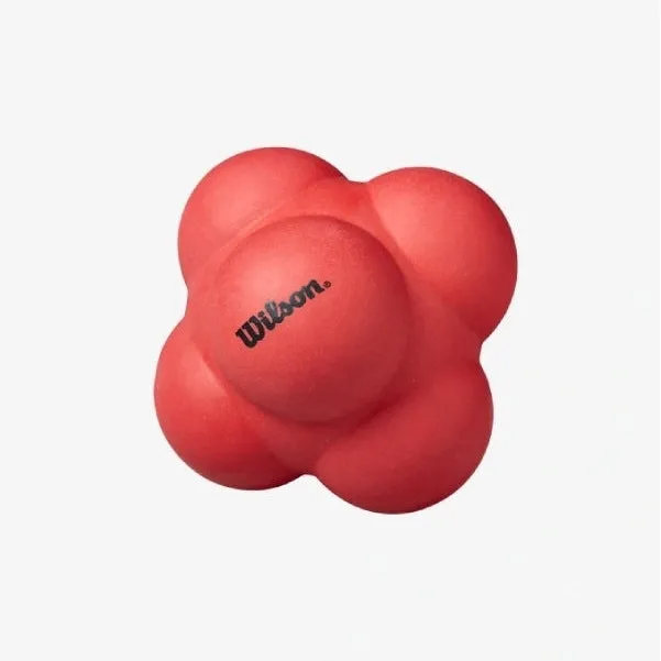 Wilson Large Reaction Ball [WS]